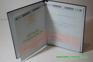 Купить диплом Ижевского Филиала СамГУПС — Ижевского Филиала Самарского государственного университета путей сообщения в Нижнем Новгороде